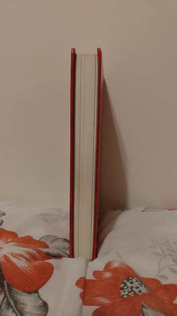O Demonologista - Andrew Pyper - Foto 4