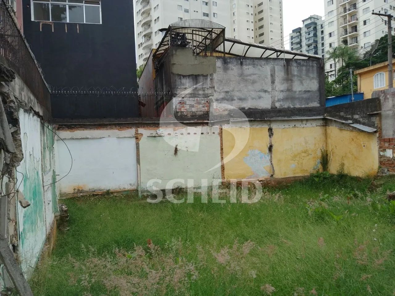 Terreno na Vila Mascote - Foto 5