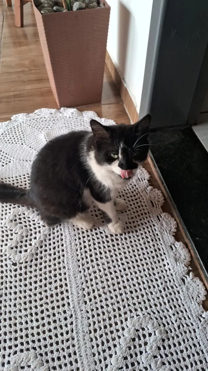 Gata