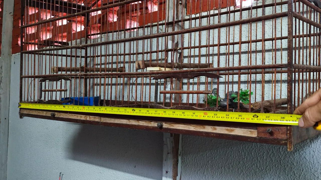 Vendo Gaiola. - Foto 5