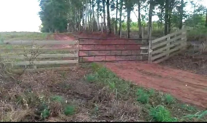 PECUÁRIA - Área Rural 20,50 Alqueires - Foto 5