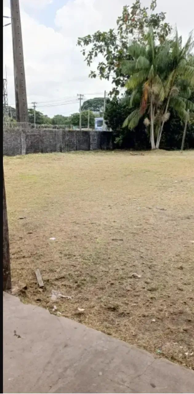 VENDO EXCELENTE ÁREA COM GALPAO NO TAPANÃ - Foto 3