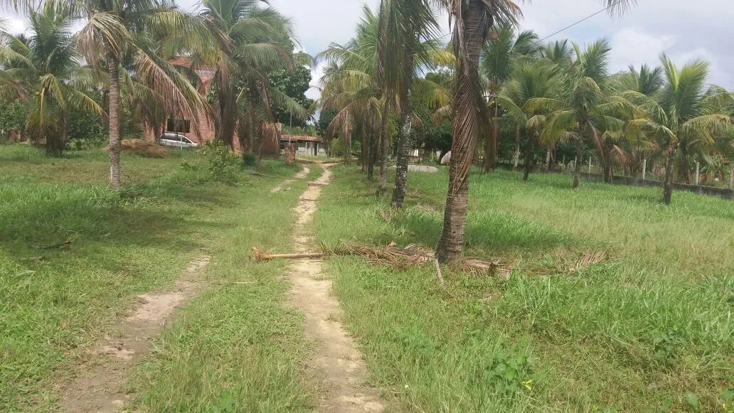Sítio em Esplanada-BA