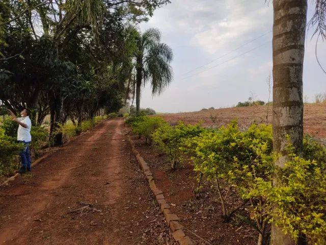 VENDE-SE SÍTIO EM BERNARDINO DE CAMPOS/SP - Foto 4