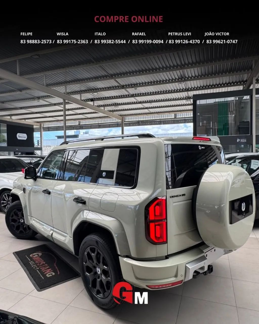 Denza B5 4WD, foto 8 de 20