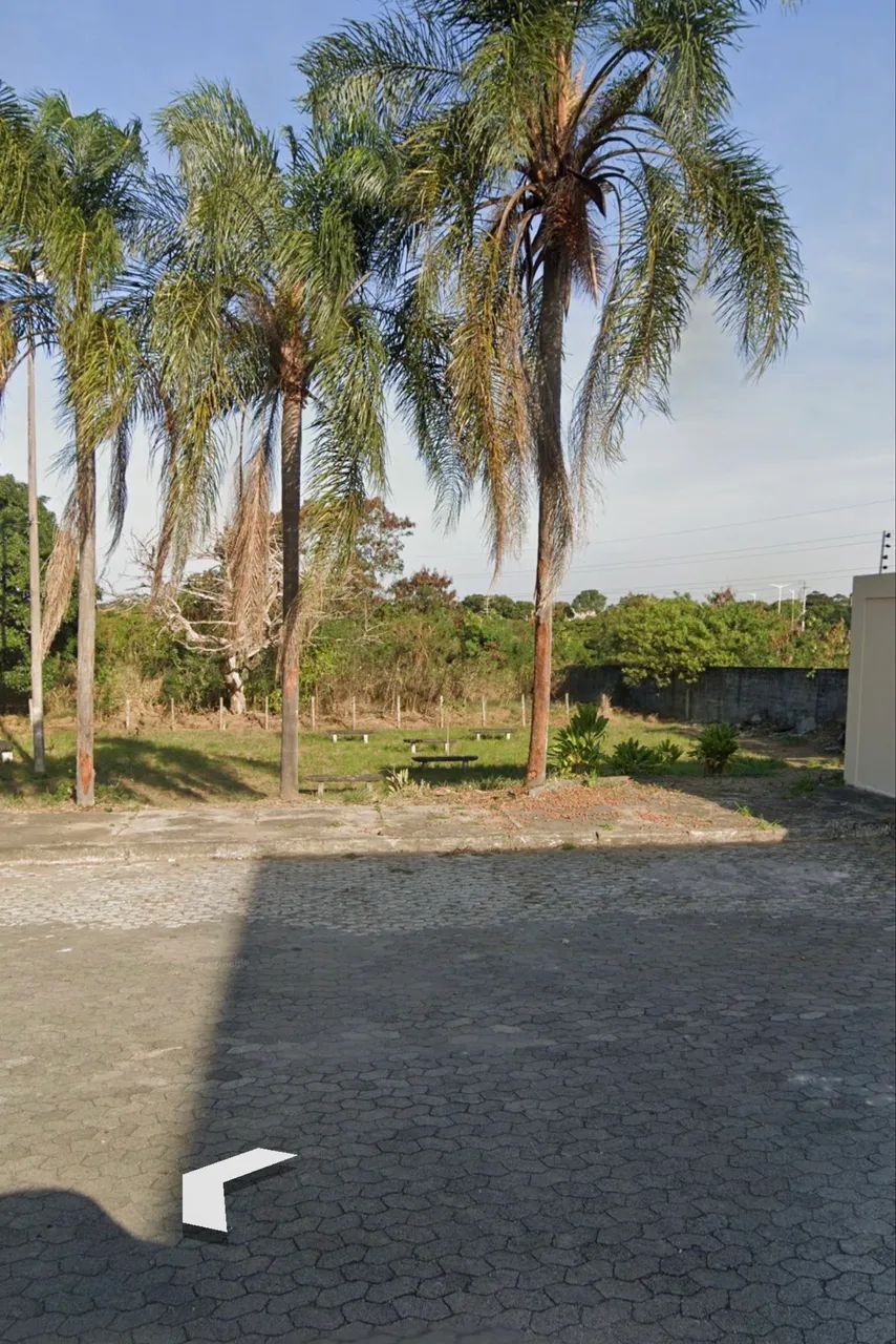 Foto - Serra - Mata da Serra