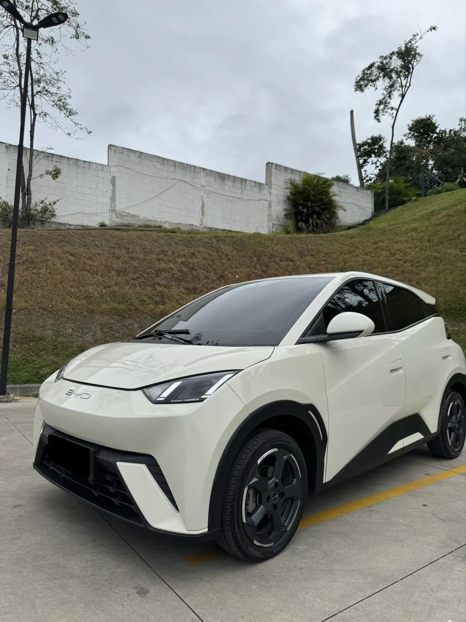 BYD Dolphin Mini (Elétrico) 2024 - Foto 4