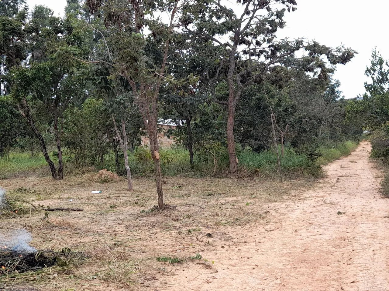 Lote em felixlandia  - Foto 4