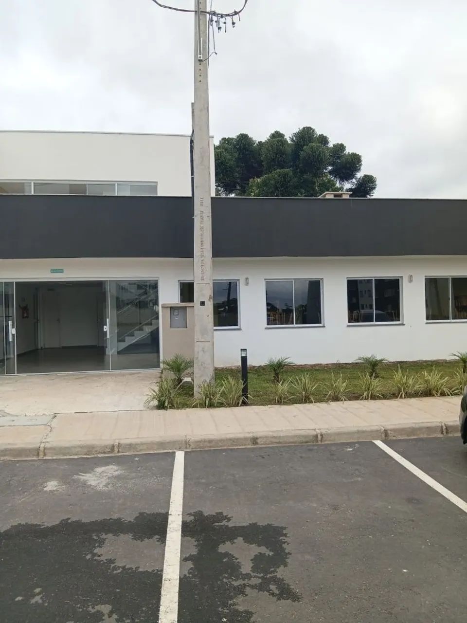 Apartamento Campo Largo  - Foto 5