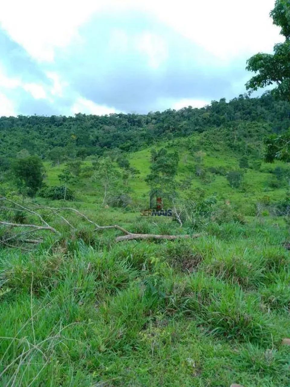 Sítio à venda - Urupá/RO - Foto 5