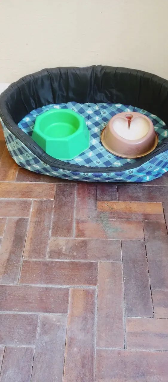 Kit, cama, cambucas, máquina de tosar e máquina de tosar para para cão 