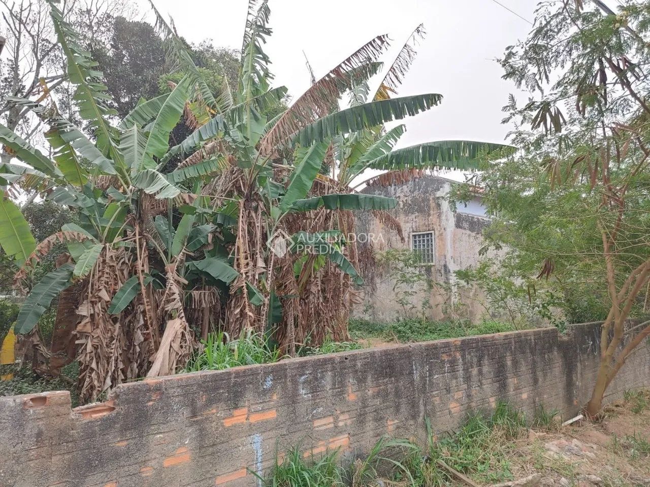 Terreno com viabilidade proximo a praia - Foto 4