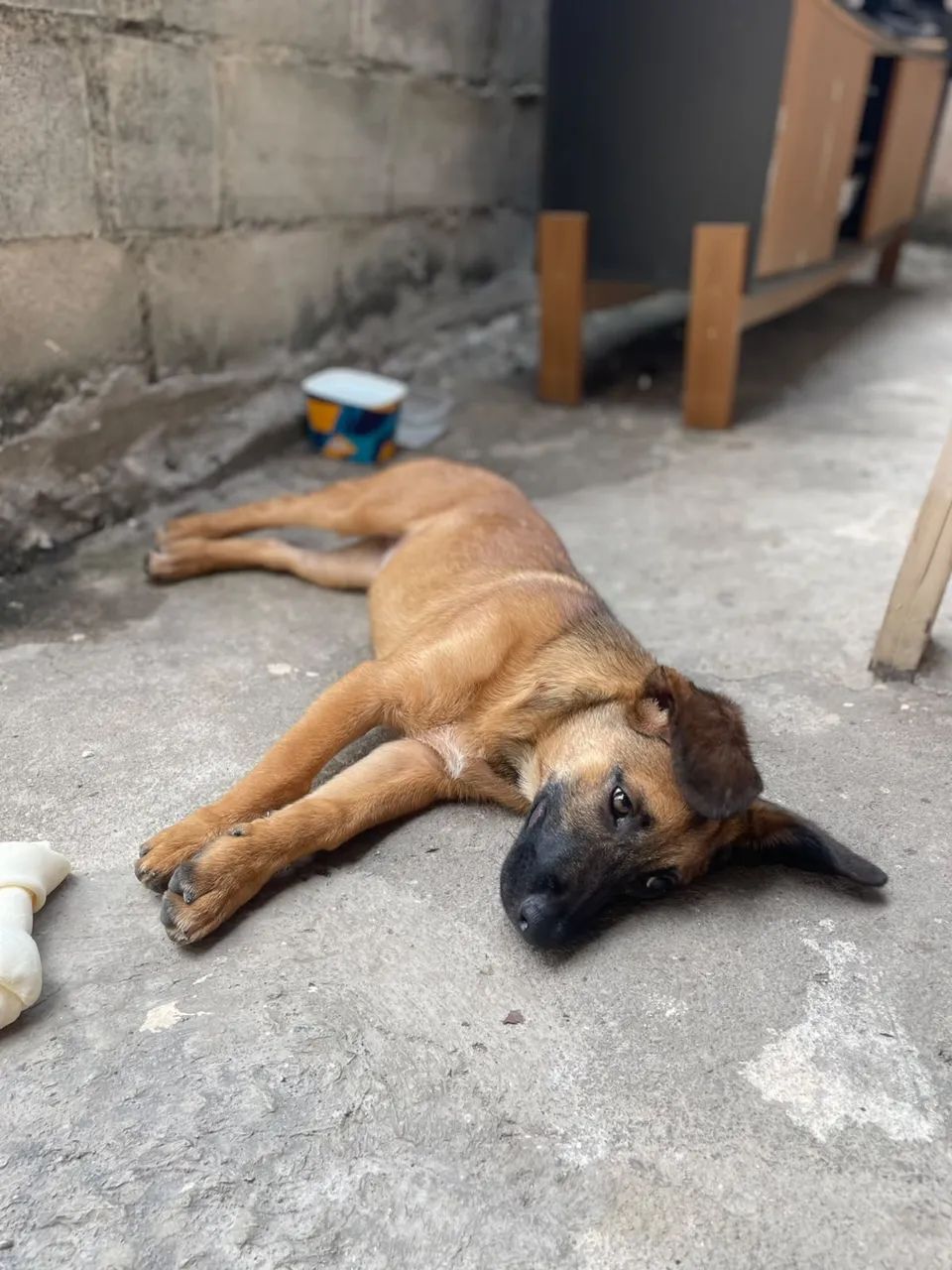 Doação  - Foto 4