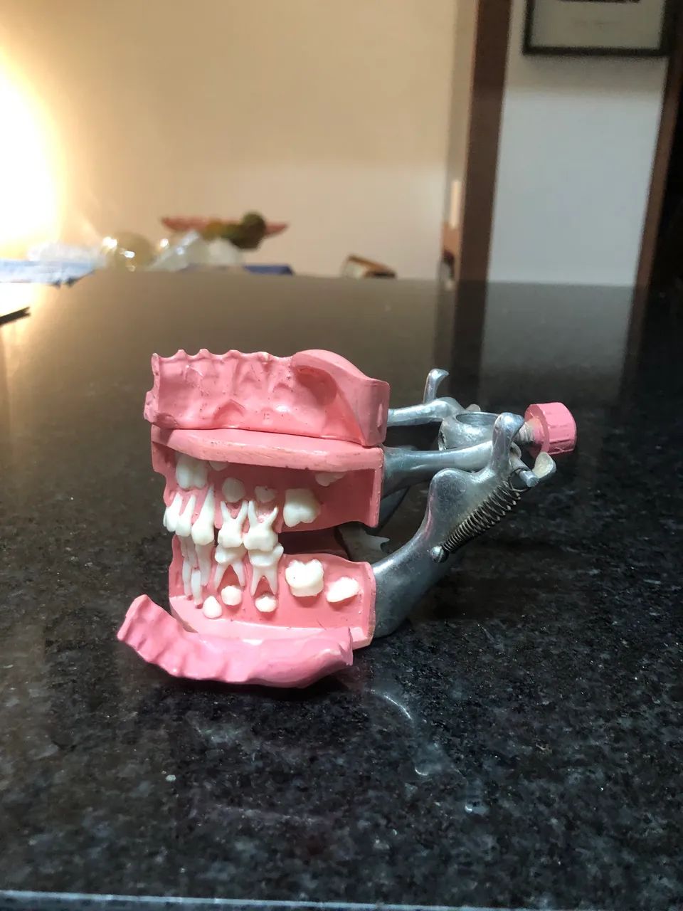 Marco modelo de dentição infantil mista  - Foto 3