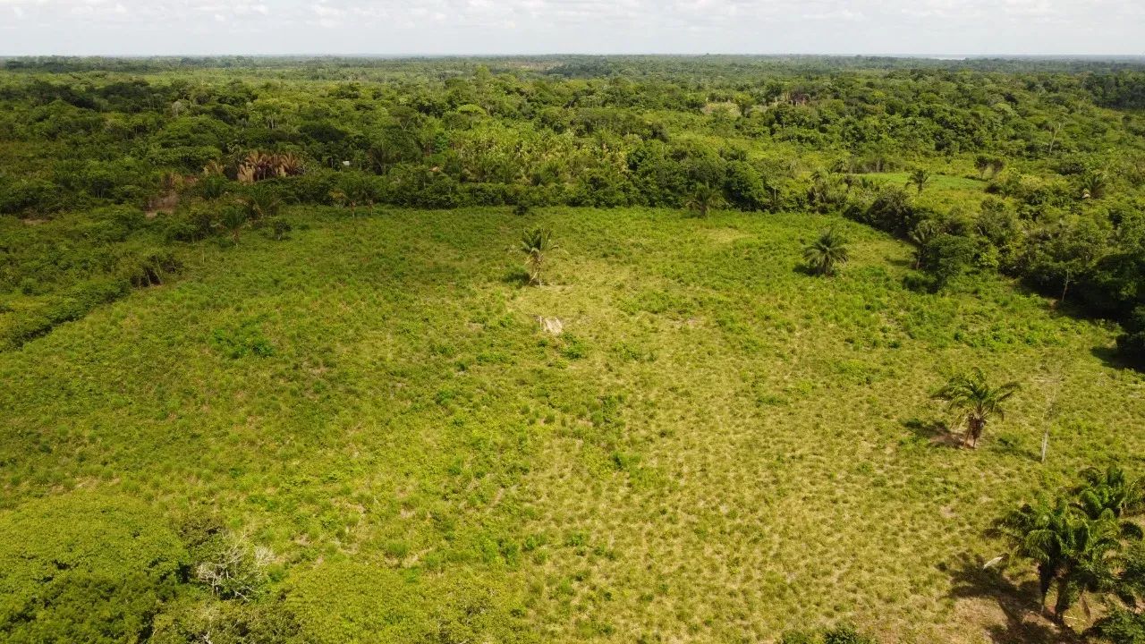 Fazenda na PA 140 - Foto 3
