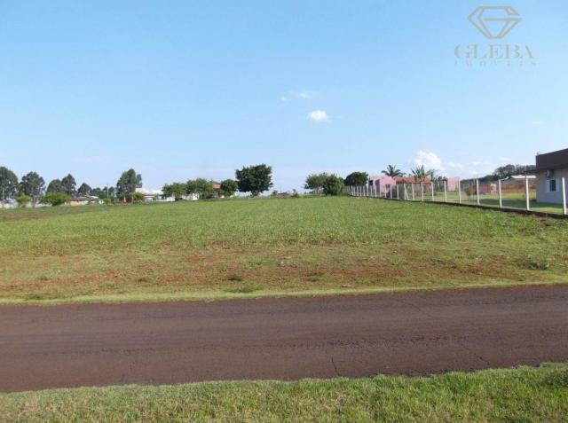 Condomínio Recanto Golf Ville, Centro, Cambé, 2502,5m² TE0066 - Foto 2