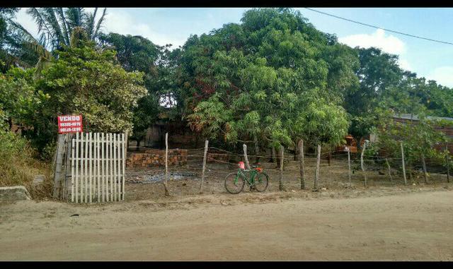 Vende-se Sítio no Recanto do Canaã - Foto 3