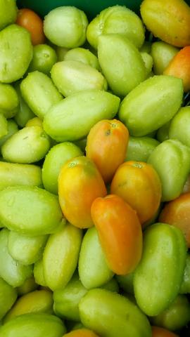 Tomate Saladete