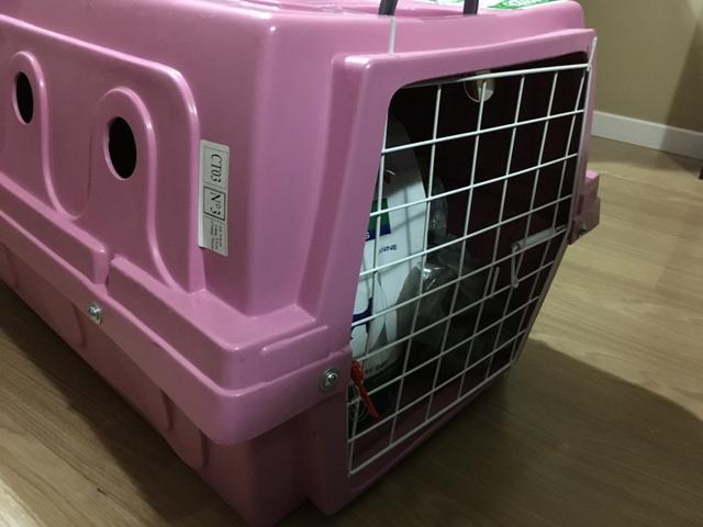 Caixa transporte para pet - Foto 4