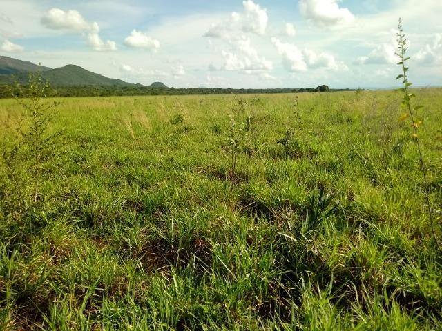 103,0113 Hectares, Pecuária e ou lavoura, Rosário-MT