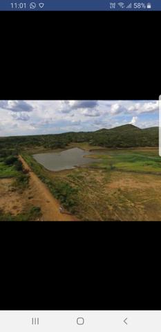 Fazenda - Foto 8