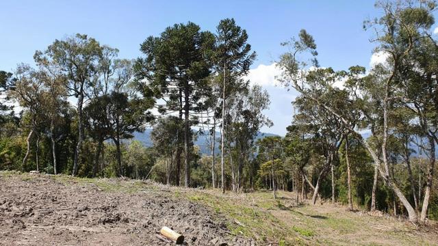 Sitio em Urubici / chácara em Urubici /próximo a Rio Rufino - Foto 11