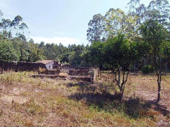 Chácara c/5,1 ha, Bom Jardim - Montenegro - 36 - Foto 4