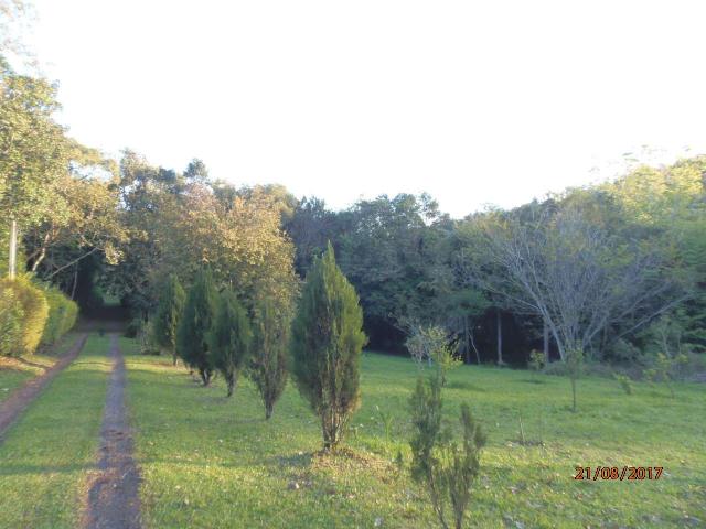 Paraíso em forma de chácara em Montenegro - 49 - Foto 17