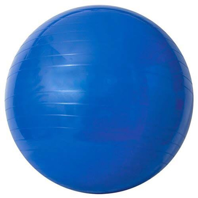 Bola Suíça 65 com bomba para Pilates ou Ginástica - Foto 4