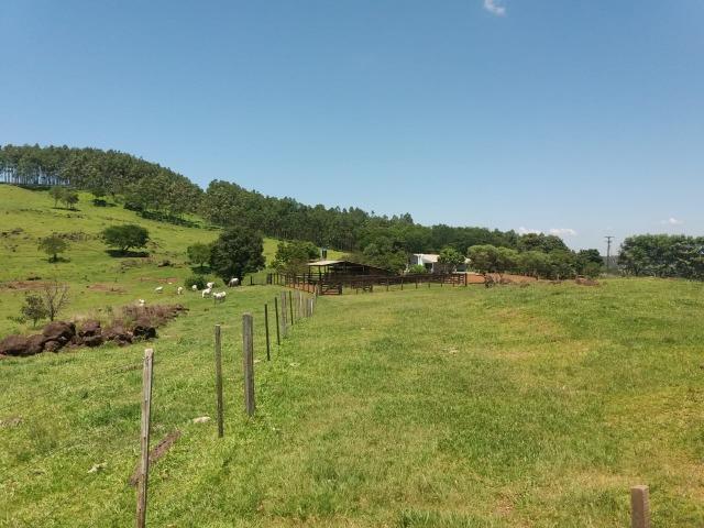 Área rural localizado na cidade de Lindoeste-PR - Foto 13