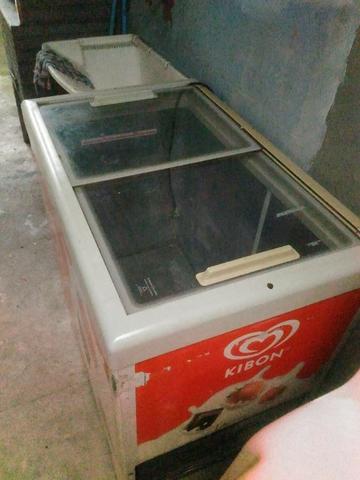 Freezer Horizontal 220v