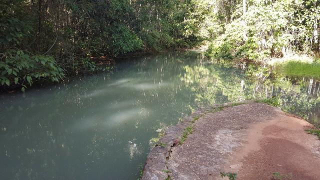 JP 013 -Ótima fazenda colado no Gama,excelente localização - Foto 4