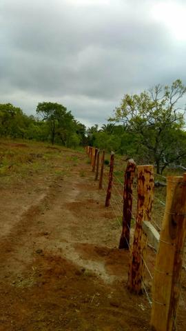 Vendo 2 e meio alqueires de terra, entre Wanderlandia e Babaçulandia - Foto 2