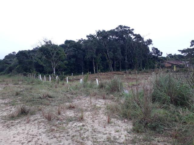 Área a venda com 3.600 m² na praia - Foto 3