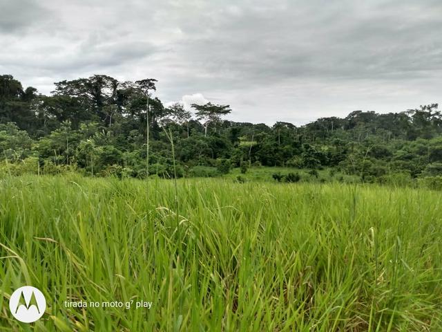 Colônia com 100 hequitare de terra por 160.000 - Foto 5
