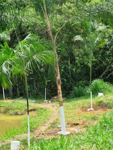 03* Maravilhoso Terreno em Arujá , paraíso da Grande São Paulo - Foto 9
