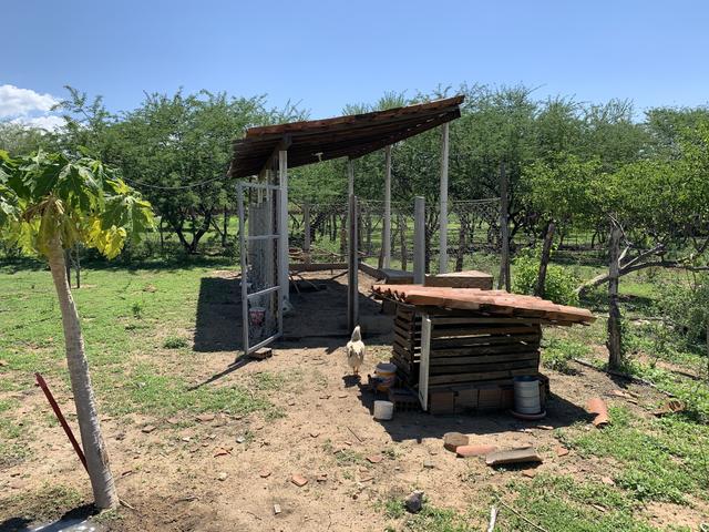 Chácara próximo a Patos - Foto 8