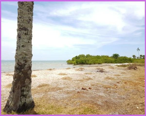 Costa Itapema, lotes a partir de 413 m² - 2 - Foto 3