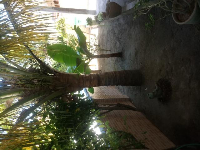 Casa para temporada em Porto Seguro - Foto 14