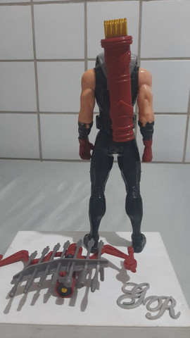 Gavião arqueiro - Foto 2