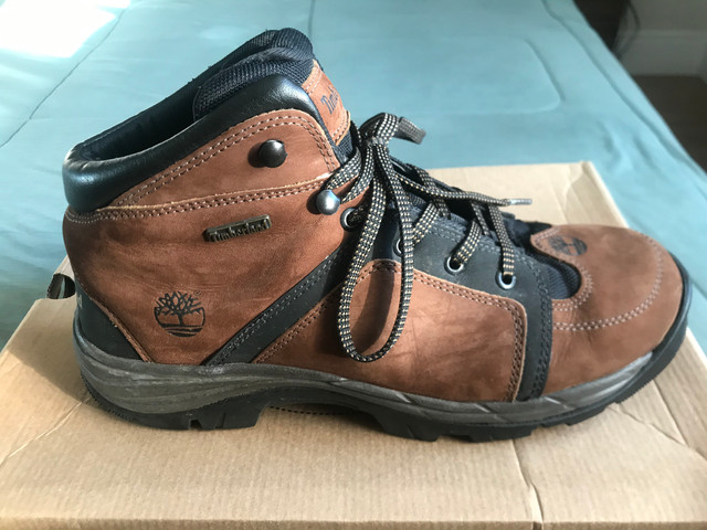 bota everest timberland