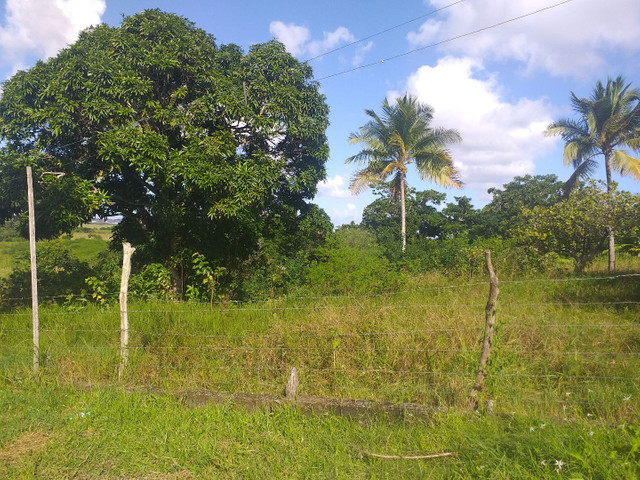 Terreno pra construir sítio ou chácara - Foto 5
