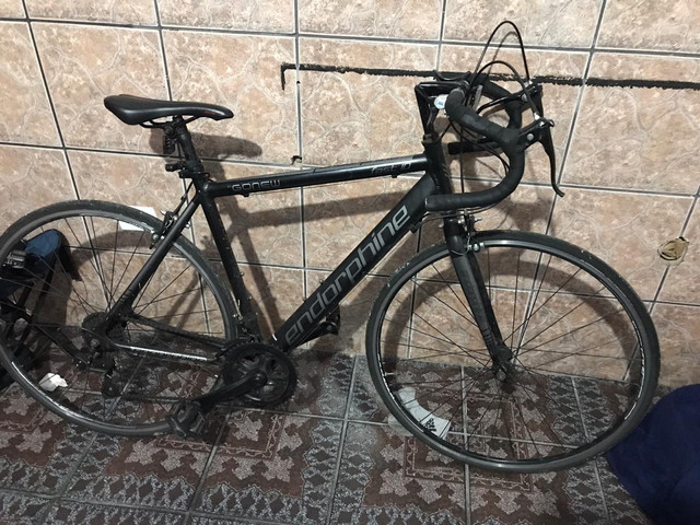 bike speed endorphine