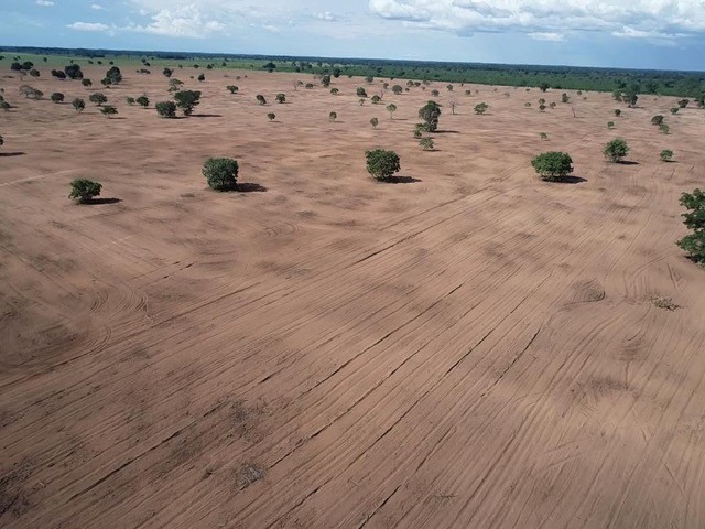 Fazenda de 646 alqueires em Araguaína-MT - Foto 4