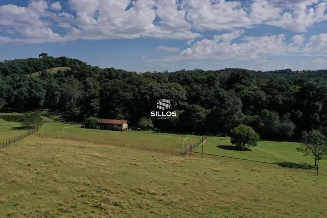 Chácara com 22.000 m² à venda em Campo Largo/PR - Foto 15