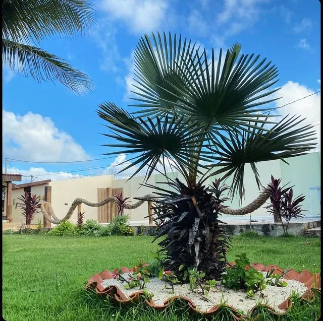 Casa de praia  alto padrão redinha nova - Foto 10