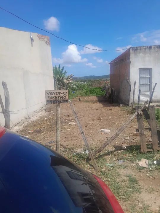 foto - Nossa Senhora do Socorro - Jardim