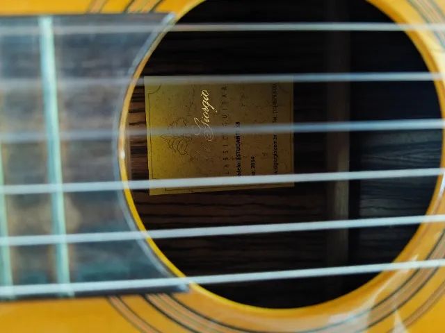 vendo um violao digiogio n* 18, em madeira, com capa acolchoada. - Foto 6