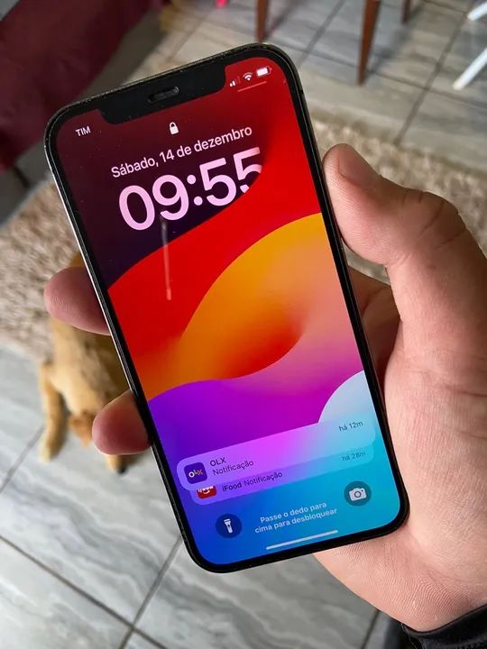 iPhone 12 Pro  - Foto 2