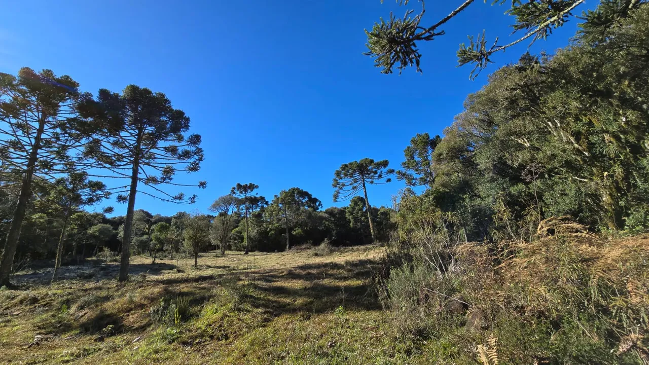 Chácara de 2 hectares à venda em Urupema